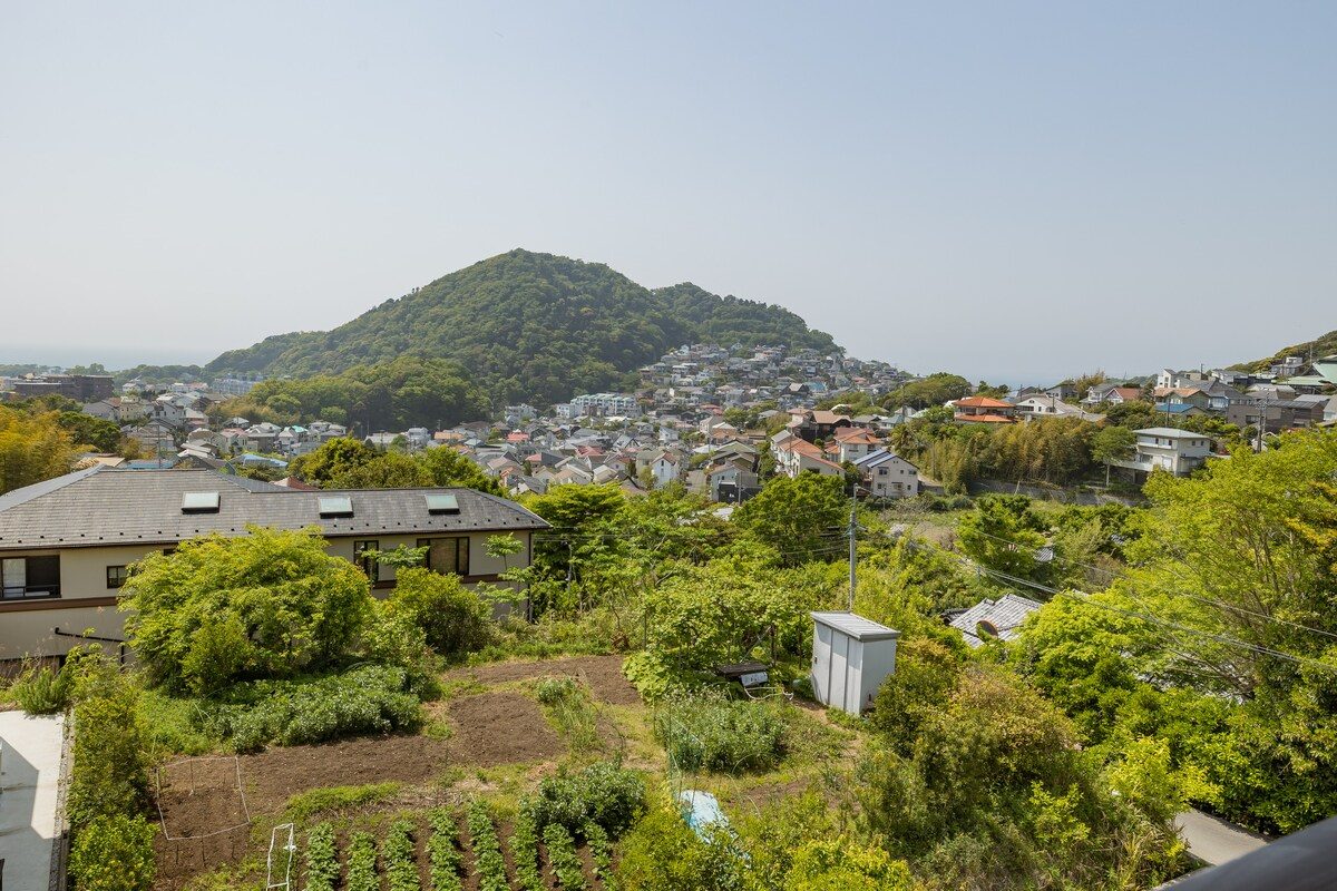葉山コレクティブ 31