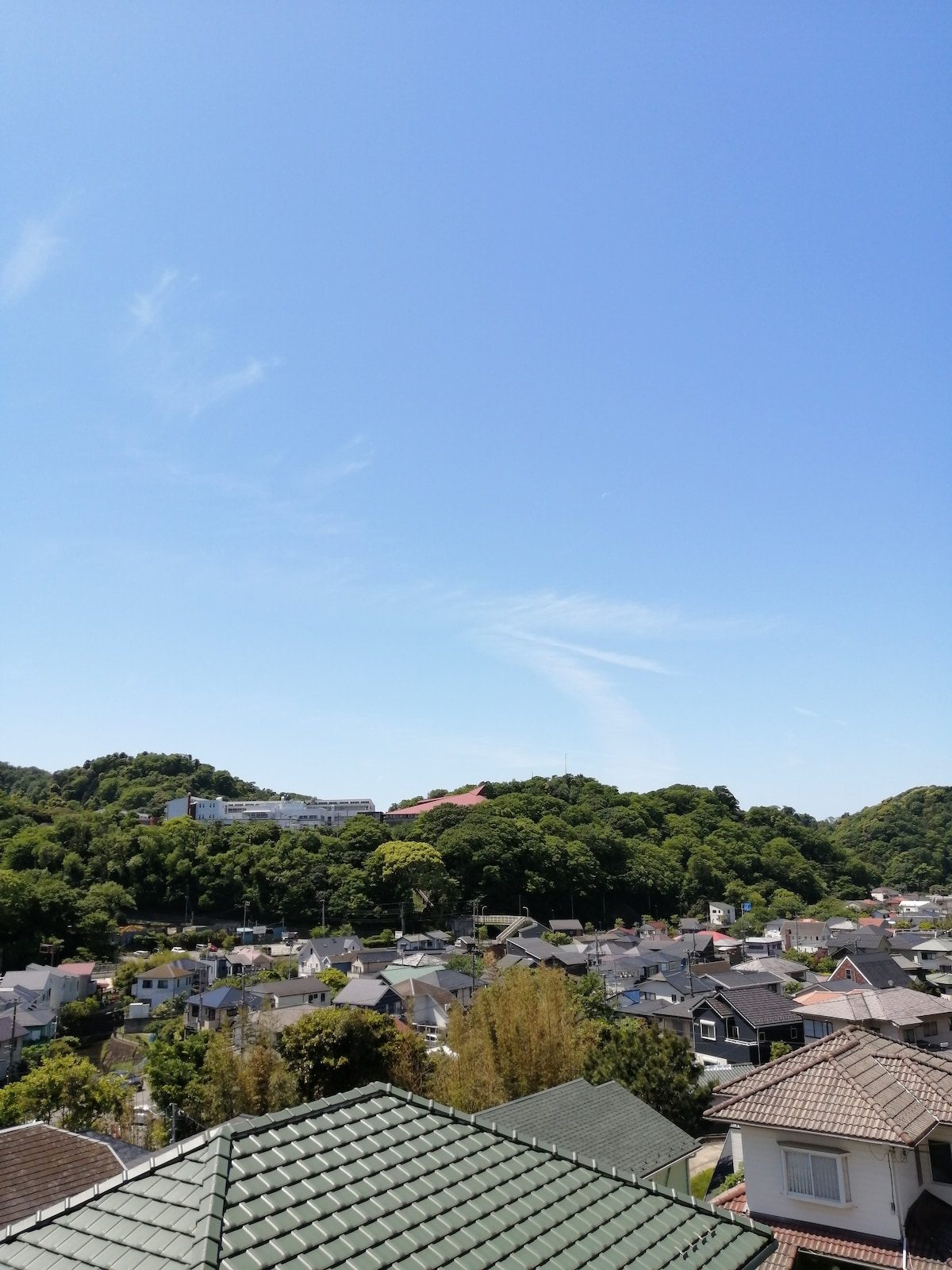葉山長柄 37