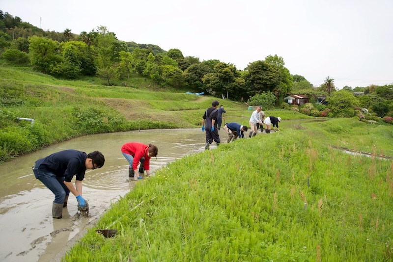 棚田の宿「わたや Roopt葉山上山口」オープンのお知らせ